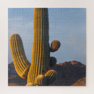 Sonnendurchfluteter Saguaro-Kaktus Puzzle