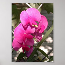 Sonneneinstrahlung und beeindruckende Beleuchtung Poster