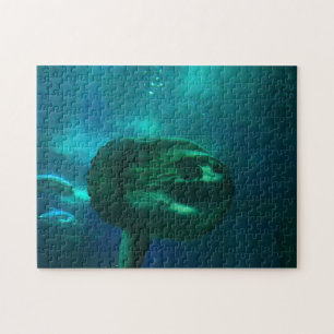 Sonnenfisch. Puzzle
