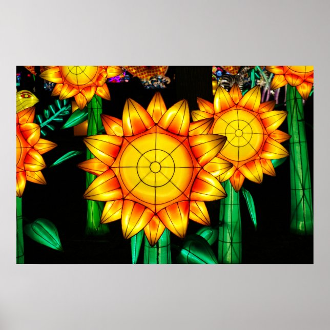 Sonnenflare Sonnenblumen  Poster (Vorne)