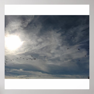 sonnengebleicht poster