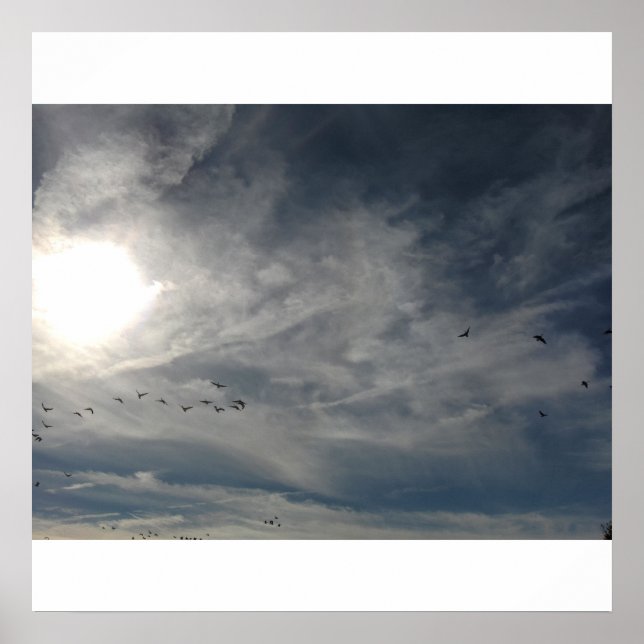 sonnengebleicht poster (Vorne)