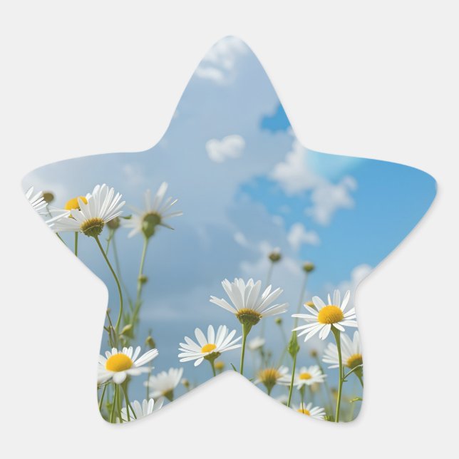 Sonnengeküsste Blütenblätter Stern-Aufkleber (Vorderseite)