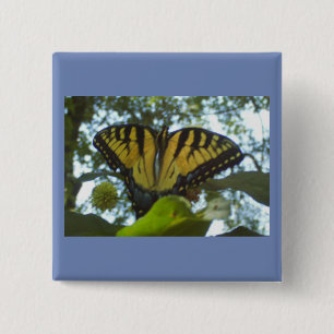 Sonnengelbes Monarch Button