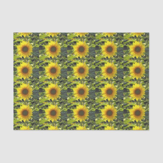 Sonnengoldblütenpapier Seidenpapier (Vorderseite)