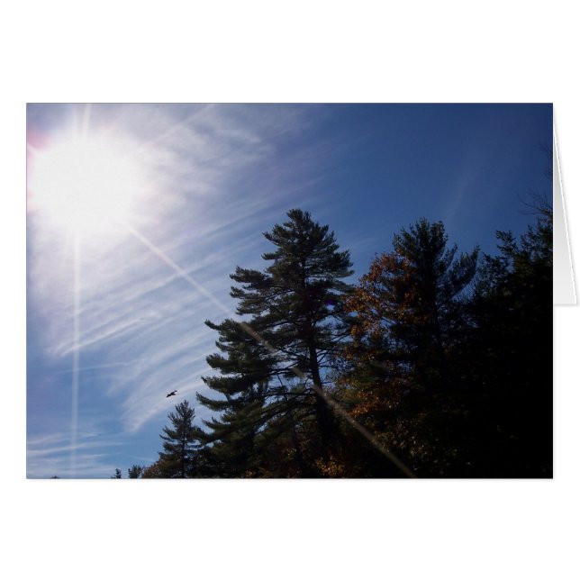 Sonnenkarte (Vorderseite (Horizontal))