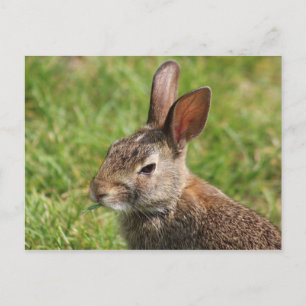 Sonnenkarte Postkarte