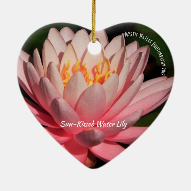 Sonnenkissed Water Lily 2 Keramiken Ornament (Hinten)
