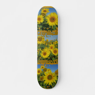 Sonnenkollektion in blauem Himmel Sommerskateboard Skateboard