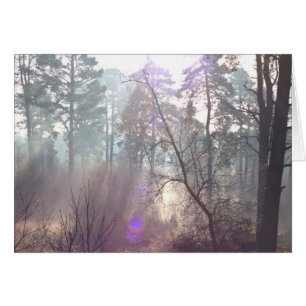 Sonnenlicht am Morgen durch die Mist-Blank-Karte