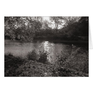 Sonnenlicht auf dem Taff, Bute Park, Cardiff