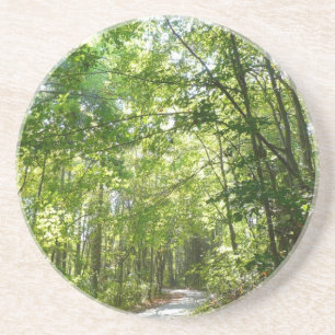 Sonnenlicht auf dem Waldweg im Centennial Park Getränkeuntersetzer