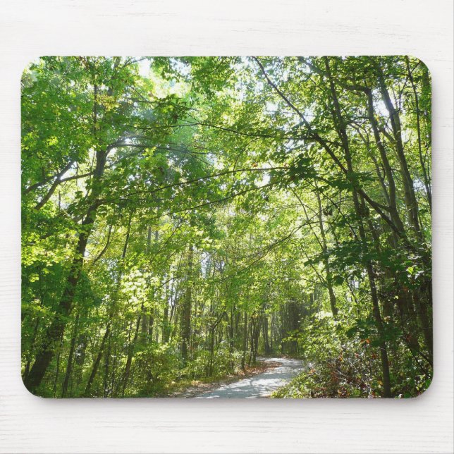 Sonnenlicht auf dem Waldweg im Centennial Park Mousepad (Vorne)