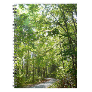 Sonnenlicht auf dem Waldweg im Centennial Park Notizblock