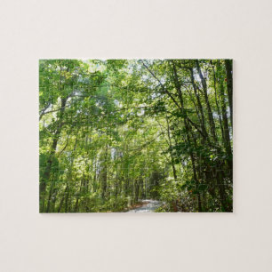 Sonnenlicht auf dem Waldweg im Centennial Park Puzzle