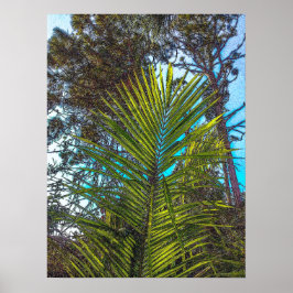 Sonnenlicht auf der Palm Fronds Plakatpapier Poster