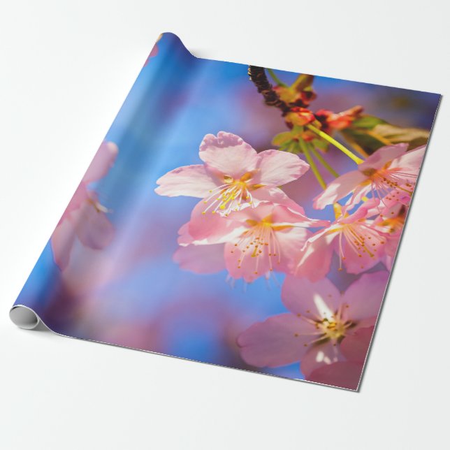 Sonnenlicht auf Sakura Blume Geschenkpapier (Ungerollt)