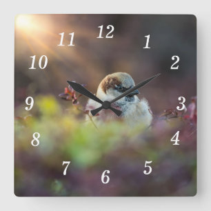 Sonnenlicht-Baderückenhalterung Quadratische Wanduhr