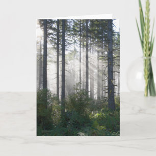 Sonnenlicht bricht durch einen Nebelwald Karte