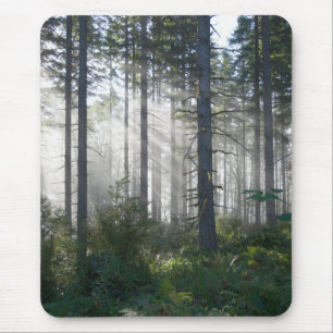 Sonnenlicht, das durch einen nebelhaften Wald Mousepad