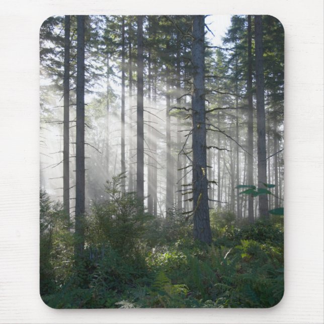 Sonnenlicht, das durch einen nebelhaften Wald Mousepad (Vorne)