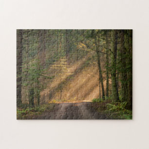 Sonnenlicht, das durch einen Wald glänzt Puzzle