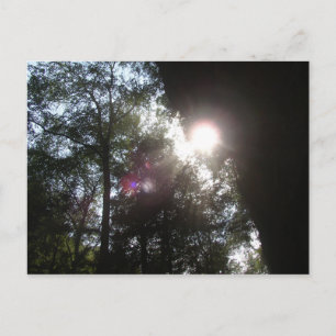 Sonnenlicht, das in der Höhle des alten Mannes, Oh Postkarte