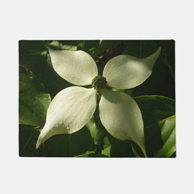 Sonnenlicht Dogwood Blossom Frühlingsblume Fußmatte (Vorderseite)