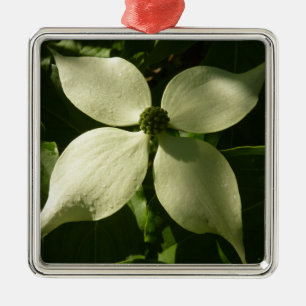 Sonnenlicht Dogwood Blossom Frühlingsblume Silbernes Ornament