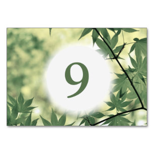 Sonnenlicht durch Ahorn-Blätter nach Maß Tischnummer