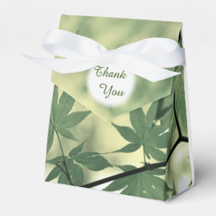 Sonnenlicht Durch Ahornblätter Danke Geschenkschachtel
