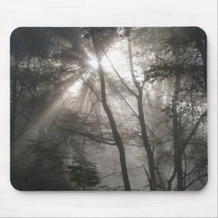 Sonnenlicht Durch Bäume Dunkler Wald Mousepad