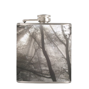 Sonnenlicht durch Bäume dunkles Wald Flachmann