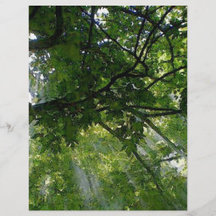 Sonnenlicht durch Bäume Flyer