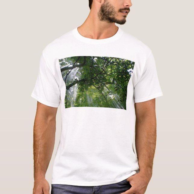 Sonnenlicht durch Bäume T-Shirt (Vorderseite)