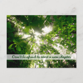 Sonnenlicht durch Blätter im Wald strömt Postkarte