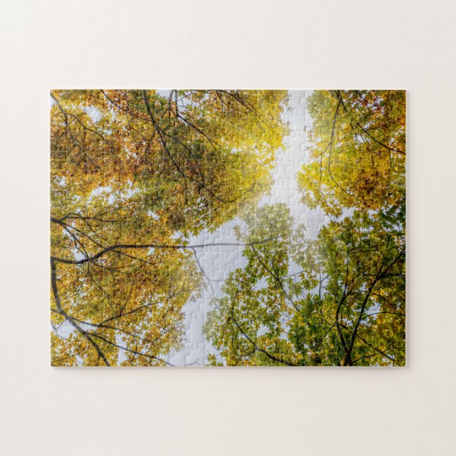 Sonnenlicht durch den Herbst Puzzle (Horizontal)