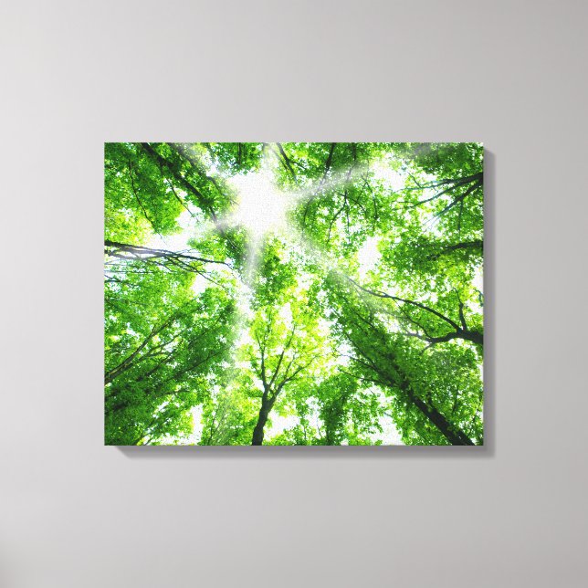 Sonnenlicht durch die Canopy Leinwanddruck (Vorderseite)