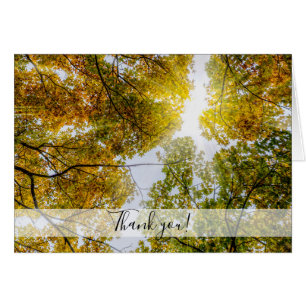 Sonnenlicht durch Herbst Zucker Maples Danke