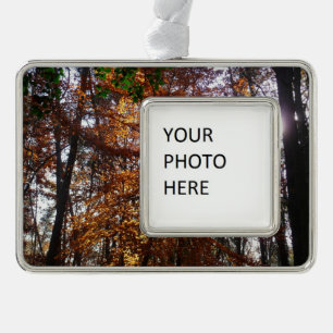 Sonnenlicht durch Herbstbaum bei Greenbelt Rahmen-Ornament Silber