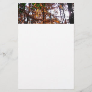 Sonnenlicht durch Herbstbaum im Greenbelt Briefpapier