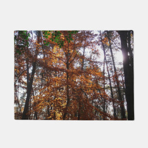Sonnenlicht durch Herbstbaum im Greenbelt Fußmatte