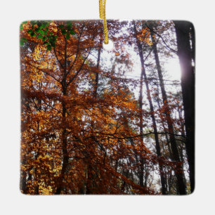 Sonnenlicht durch Herbstbaum im Greenbelt Keramikornament