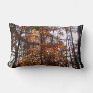 Sonnenlicht durch Herbstbaum im Greenbelt Lendenkissen