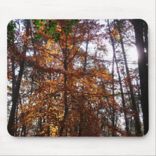 Sonnenlicht durch Herbstbaum im Greenbelt Mousepad