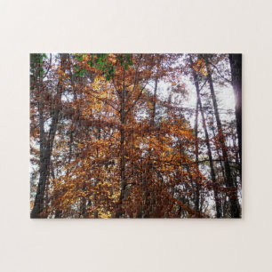 Sonnenlicht durch Herbstbaum im Greenbelt Puzzle