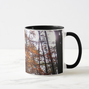 Sonnenlicht durch Herbstbaum im Greenbelt Tasse