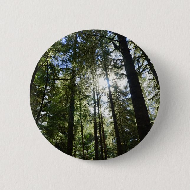 Sonnenlicht durch Kiefern Button (Vorderseite)