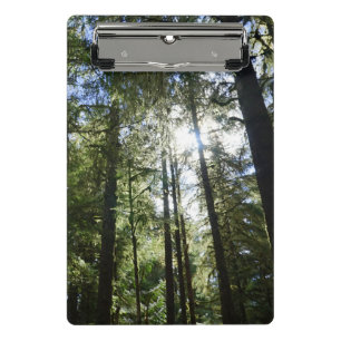 Sonnenlicht durch Kiefern Mini Klemmbrett