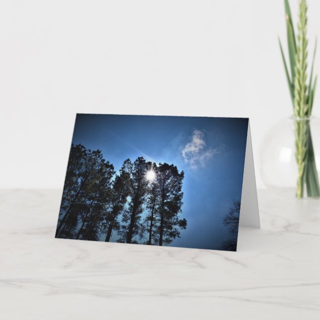 Sonnenlicht durch Pinienbäume, Karte (Vorderseite)